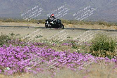 media/Feb-04-2023-SoCal Trackdays (Sat) [[8a776bf2c3]]/Turn 15 Inside Blooming (1050am)/